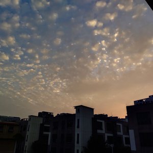 蓝莓视频♥成人app♥ios
