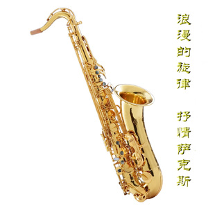 蓝莓视频♥成人app♥ios
